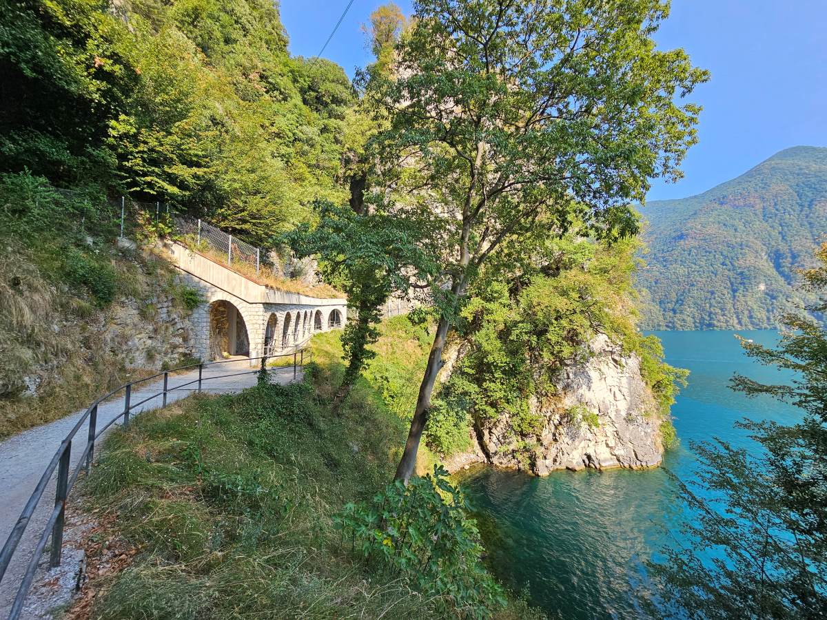 auf dem Olivenbaumwanderweg von Lugano nach Gandria