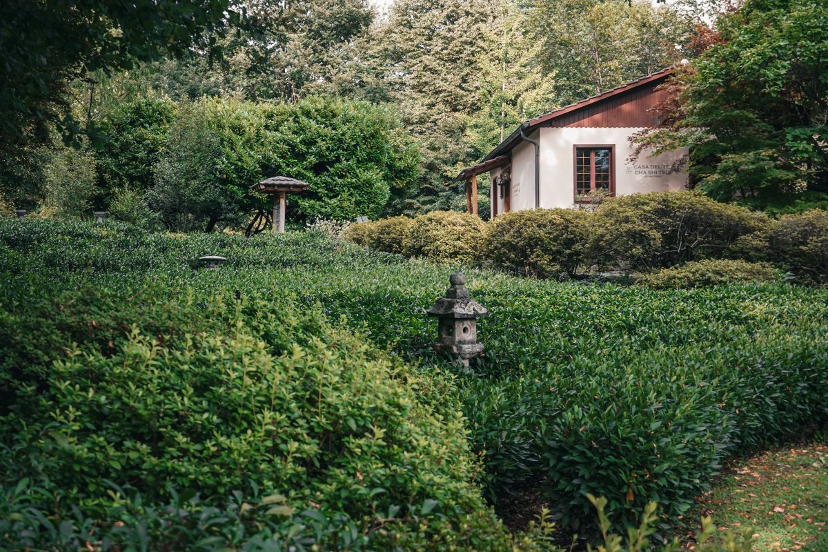 Teehaus auf dem Monte Verita bei Ascona