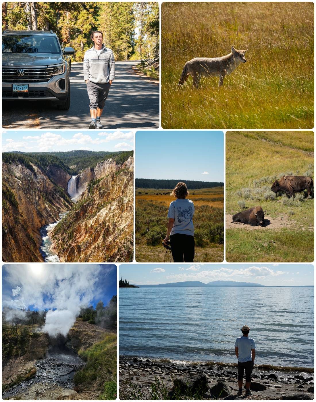 Collage Tag 4 im Yellowstone Nationalpark