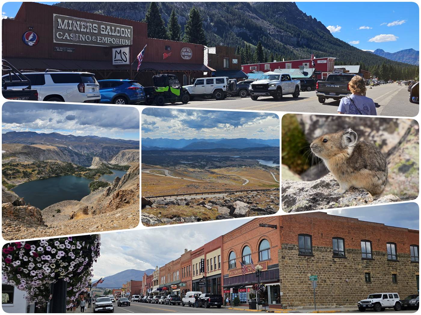Zusammenstellung: Yellowstone Reise Tag 5