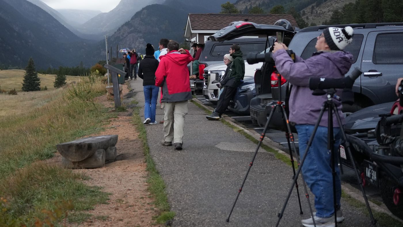 Fotografen mit Stativen, die Tiere fotografieren möchten