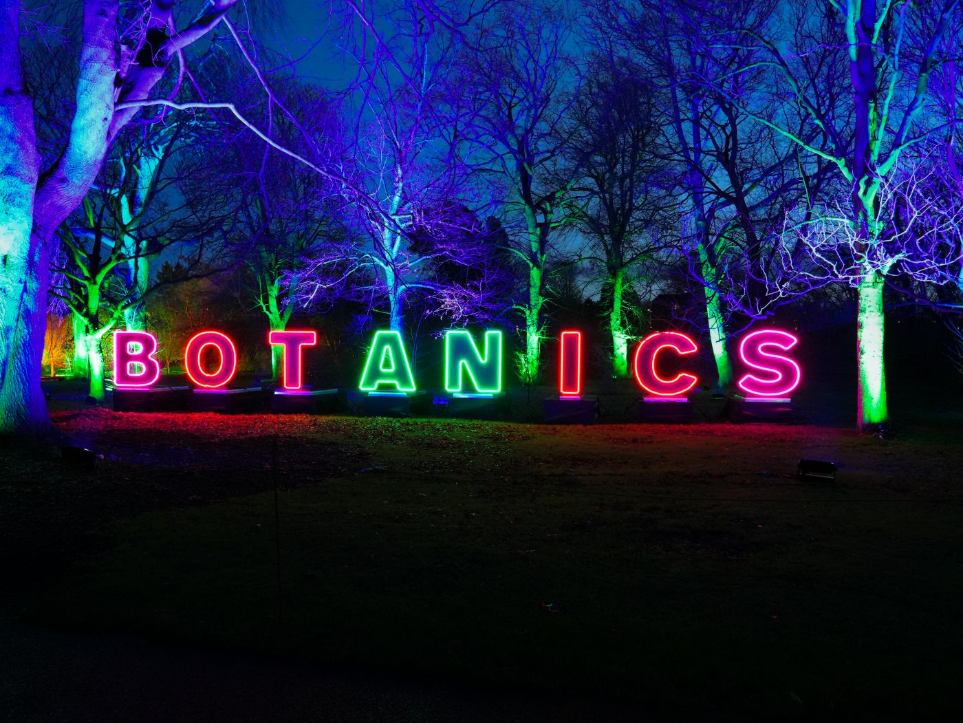 Eingang zu Christmas at the Botanics