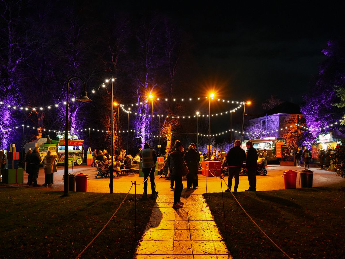 Christmas at the Botanics in Edinburgh