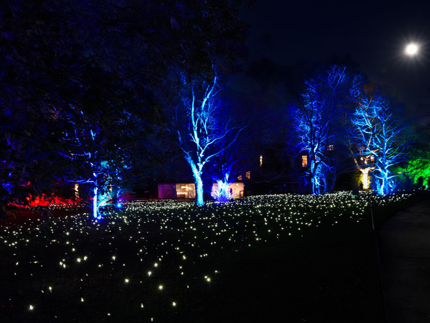 Christmas at the Botanics in Edinburgh
