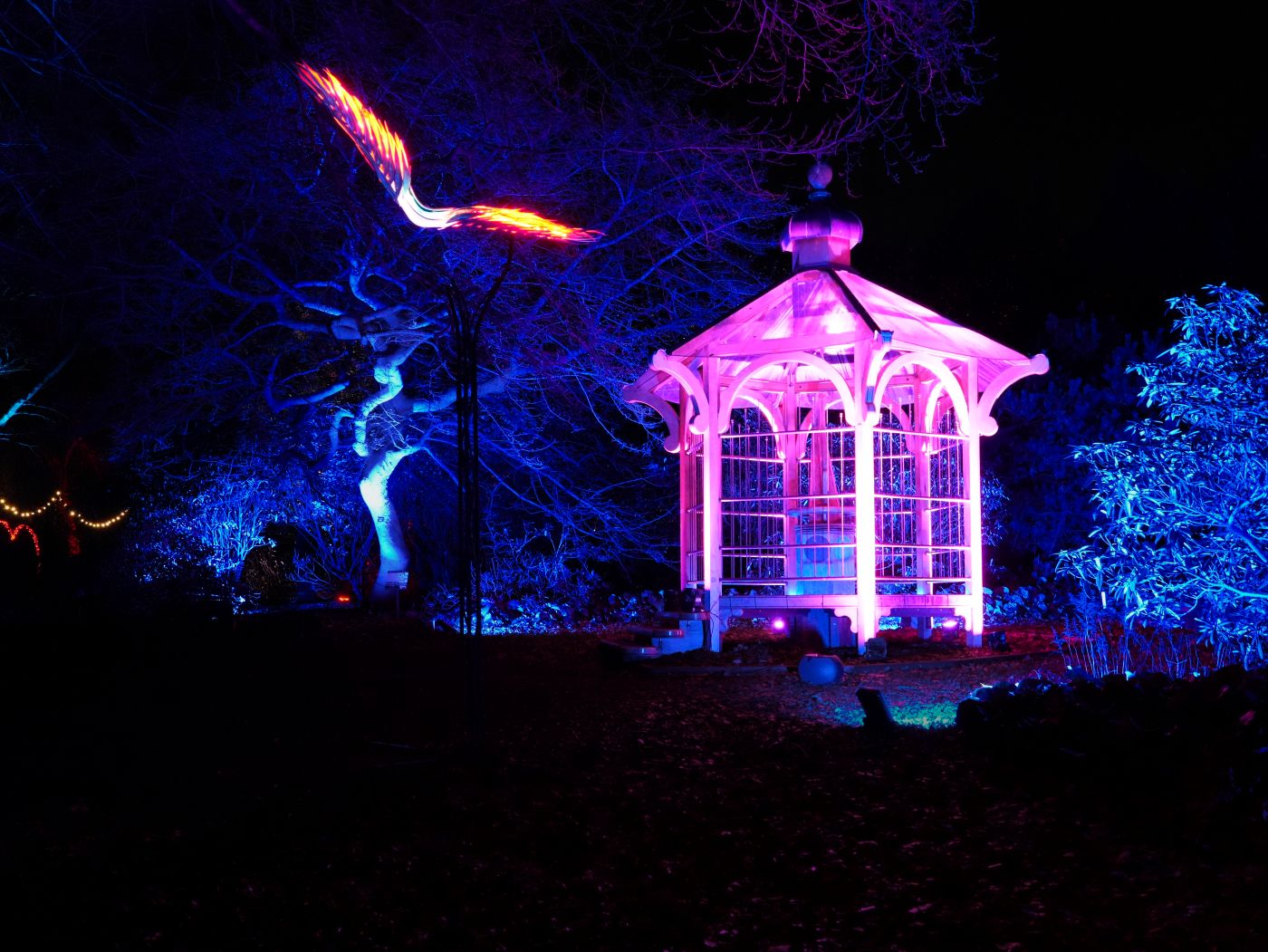 Christmas at the Botanics in Edinburgh