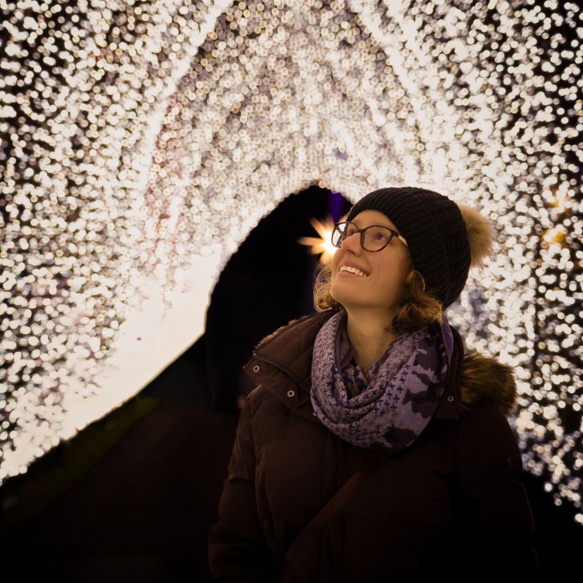Infos und Tipps zu Christmas at the Botanics in Edinburgh, Schottland
