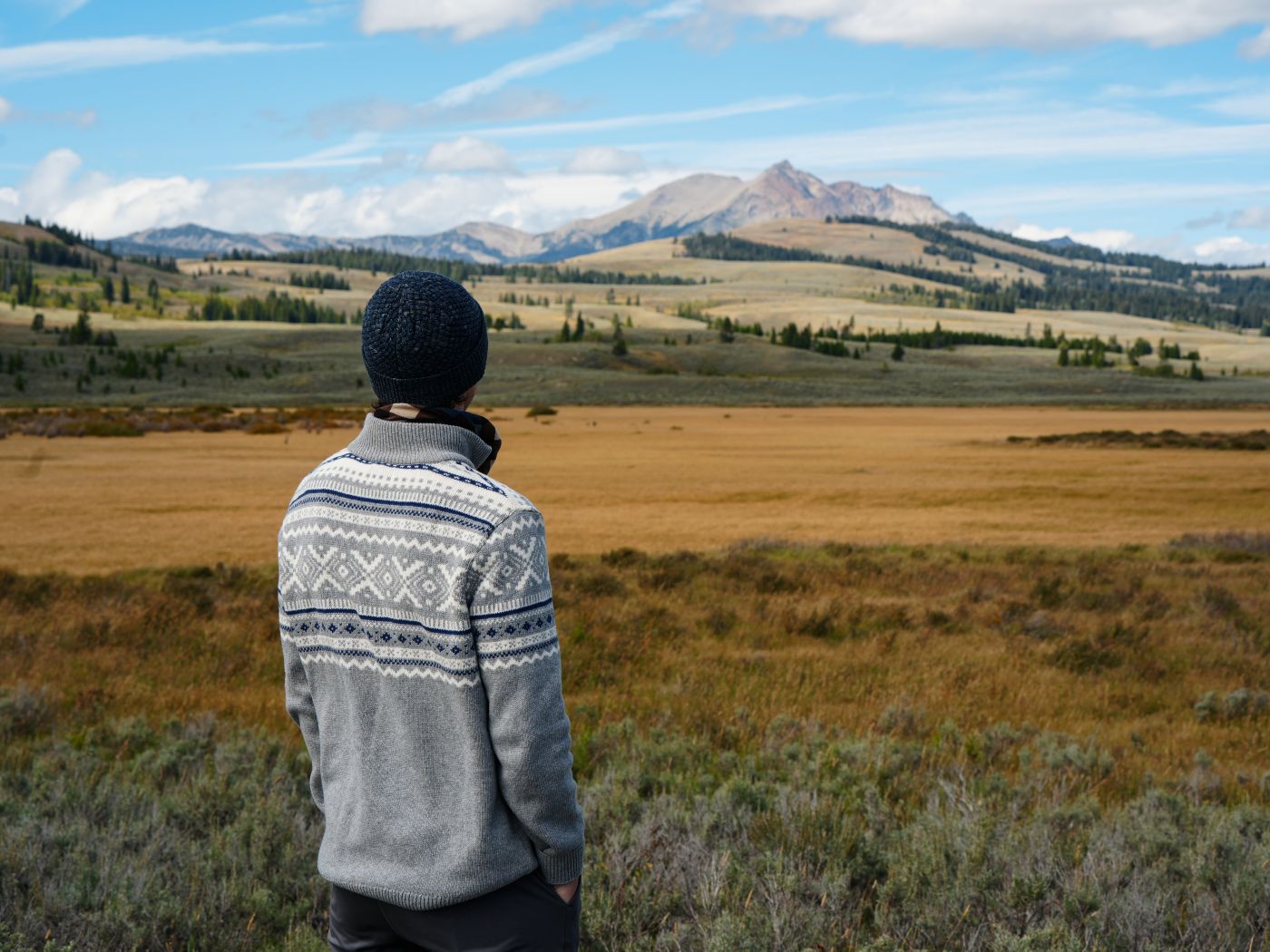 Die Berge von Montana, gesehen von Yellowstone Nationalpark