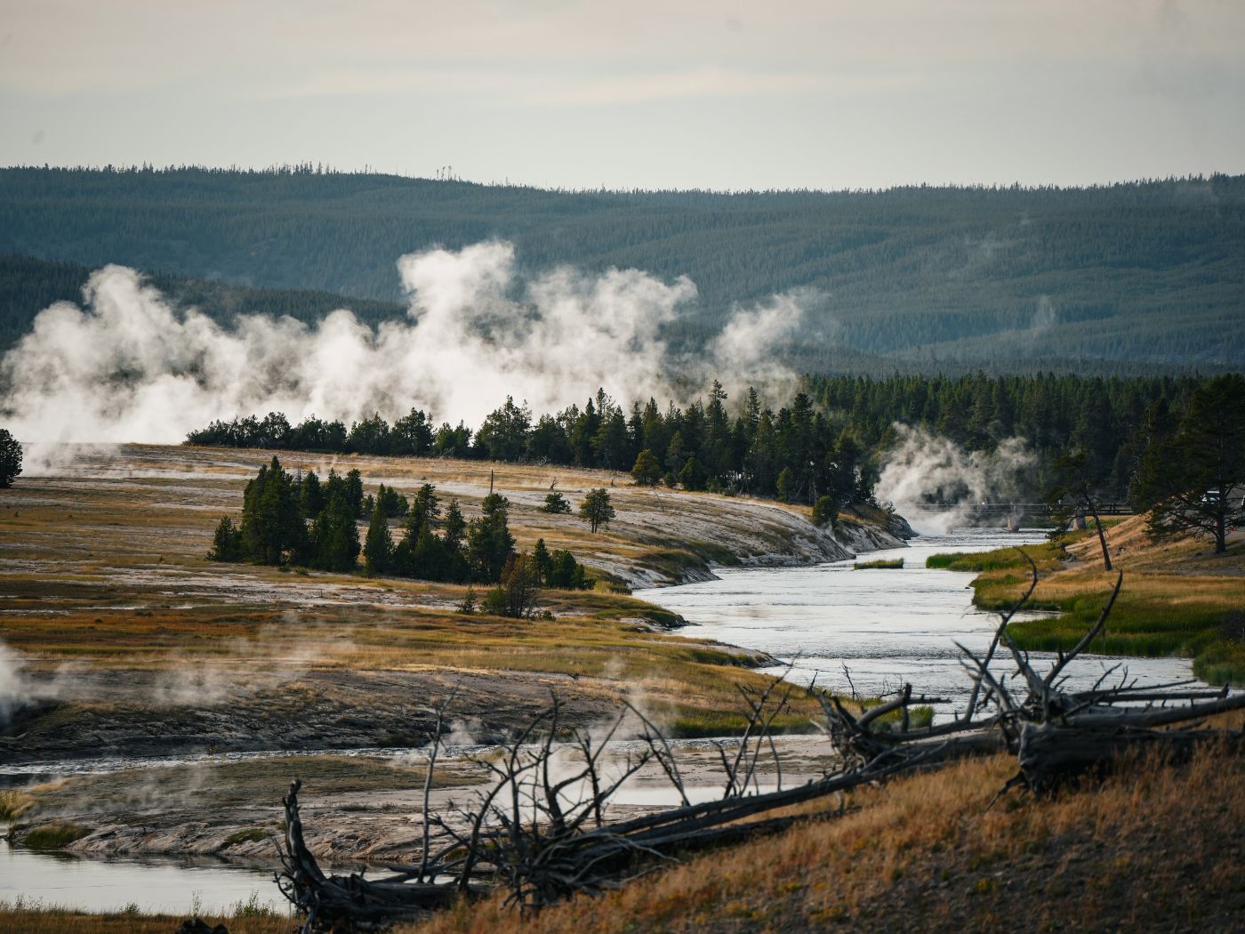 Blick auf das dampfende Midway Basin und den Firehole River im Yellowstone Nationalpark