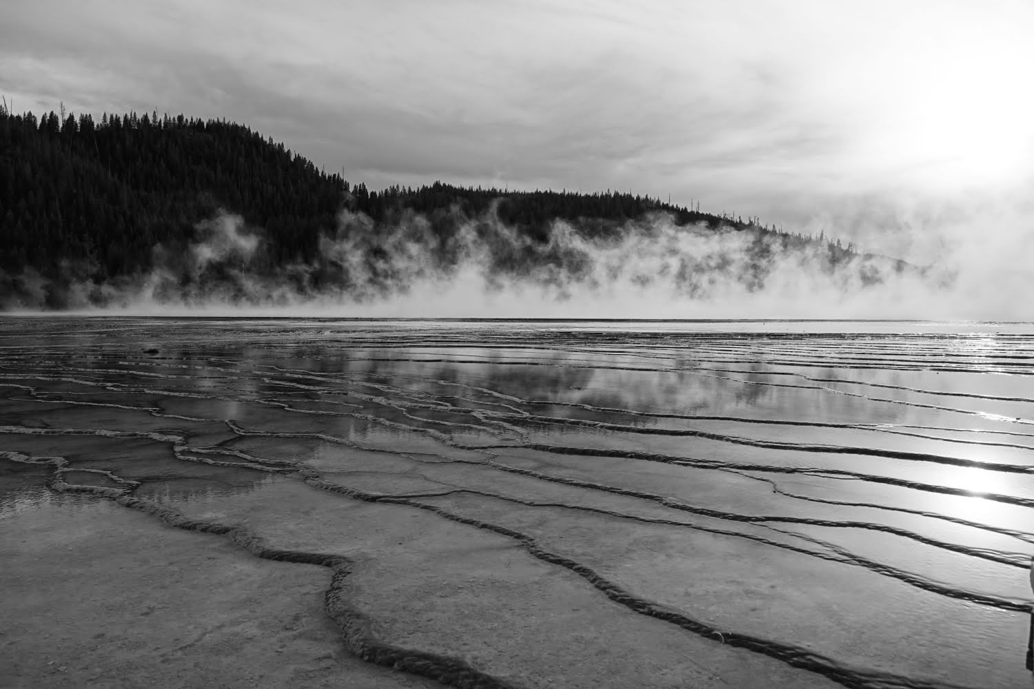 Abendstimmung am Midway Basin im Yellowstone Nationalpark