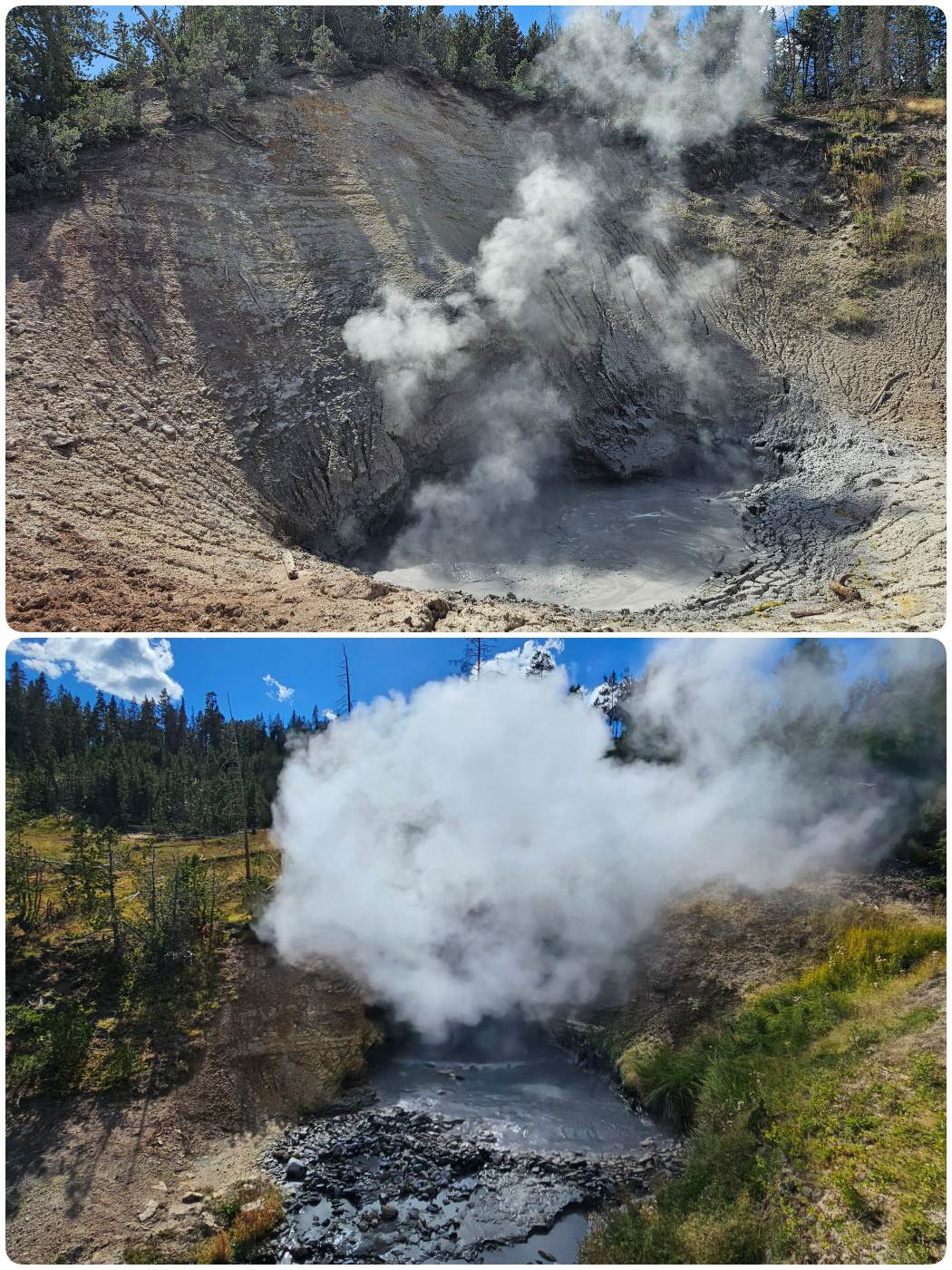 Mud Vulcano und Dragons Mouth im Yellowstone Nationalpark