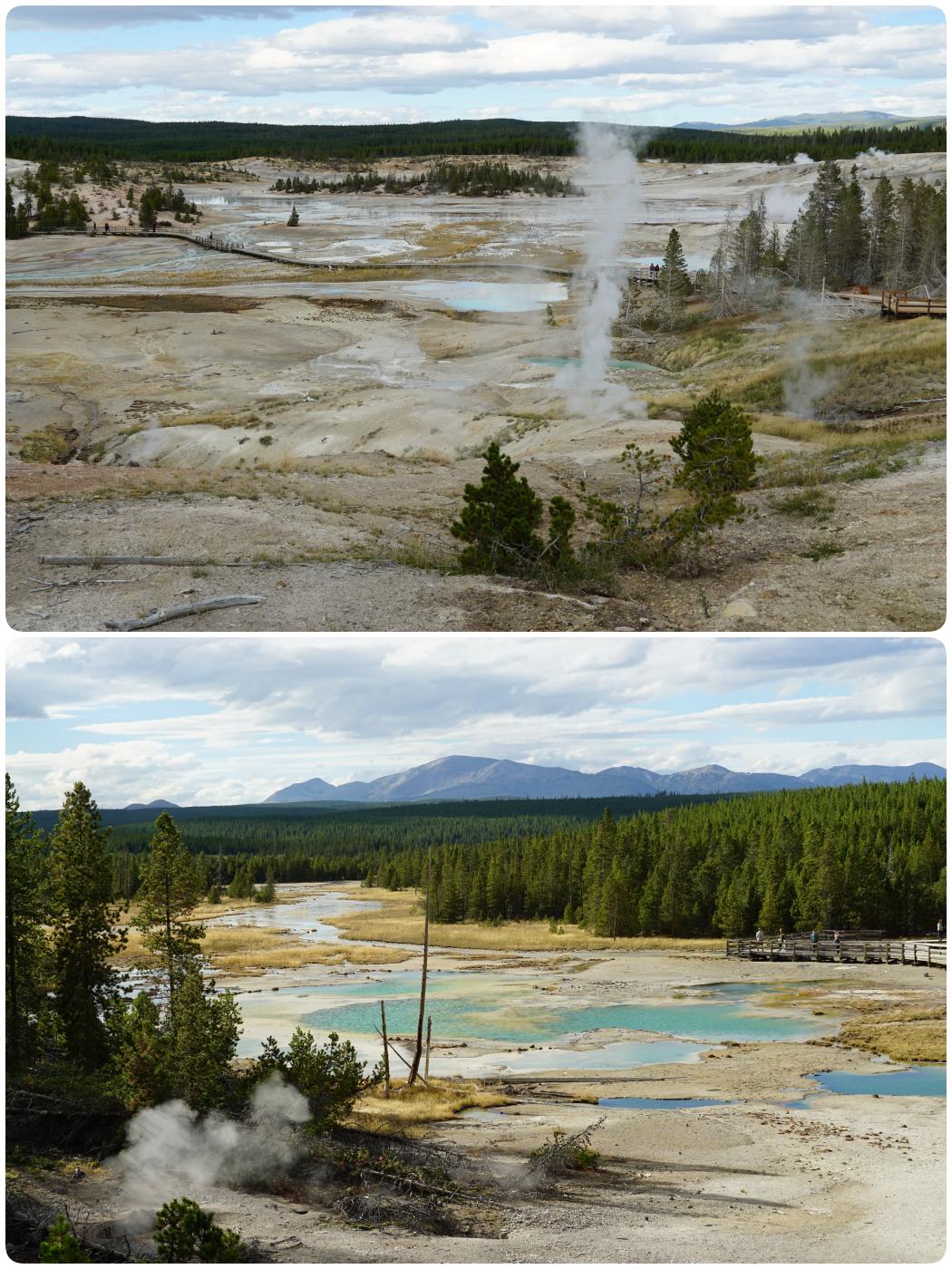 Das Norris Geyser Basin im Yellowstone Nationalpark