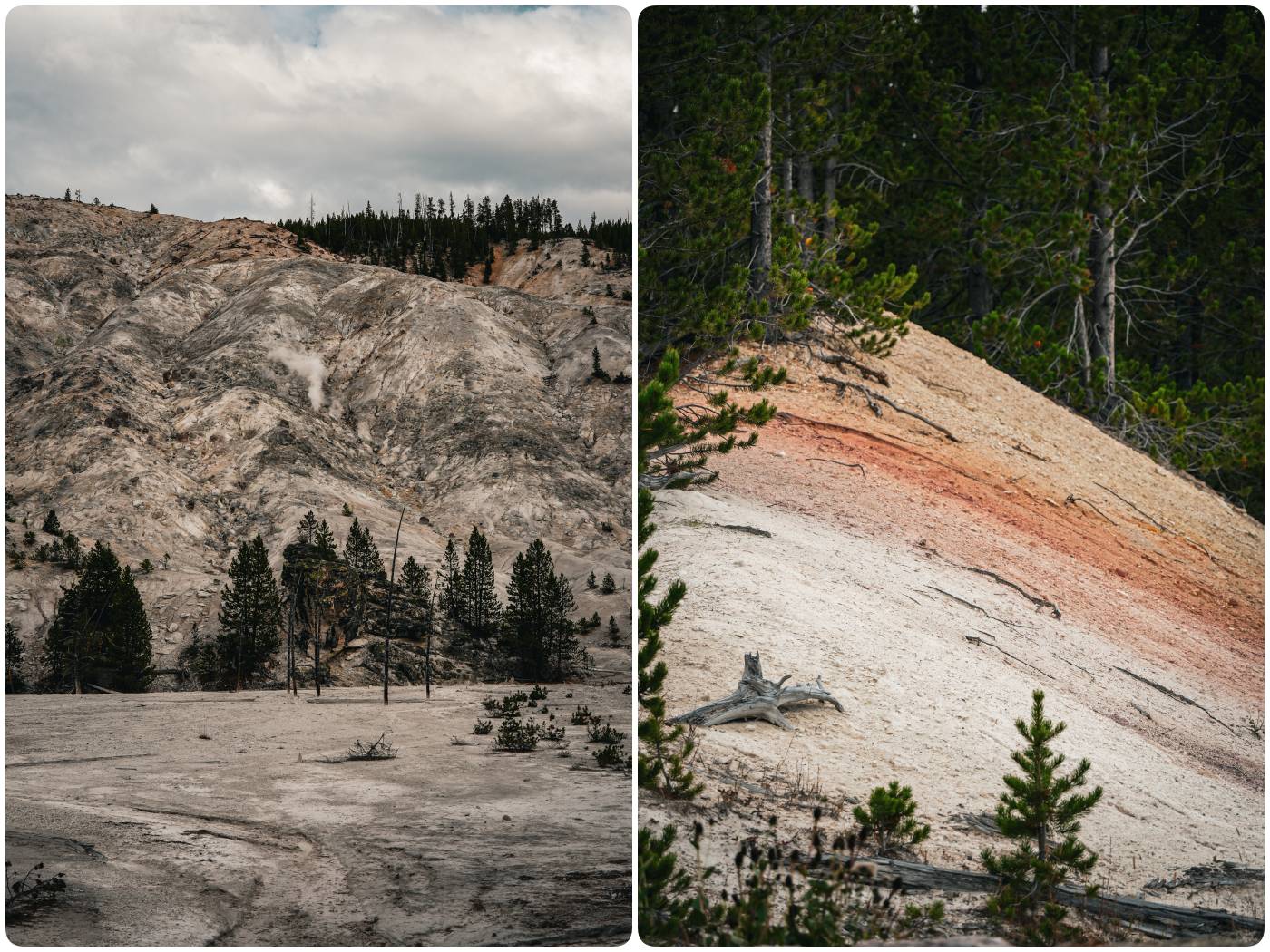 Roaring Mountain im Yellowstone Nationalpark