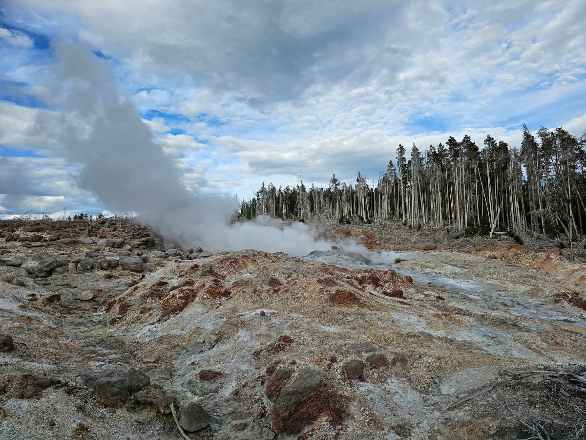 Der Steamboat Geysir im Yellowstone Nationalpark