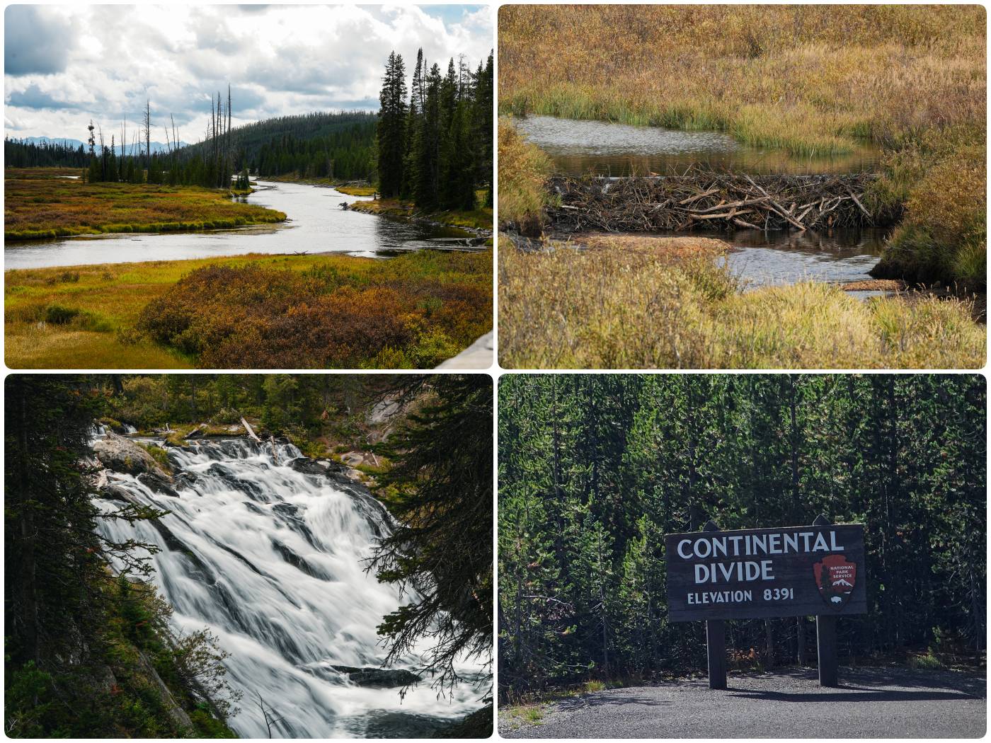 Yellowstone Nationalpark: Lewis Falls, Bieberdamm und Kontinentale Wasserscheide